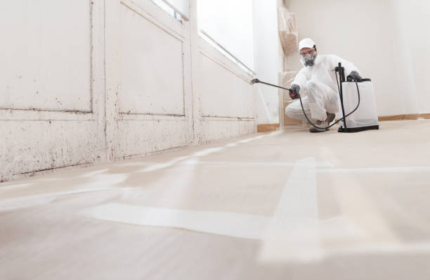 24/7 Emergency Attic Mold Remediation experts in Sperryville, VA