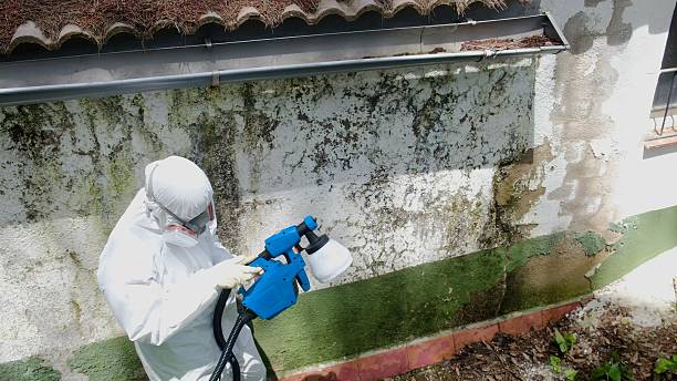 Top rated local Attic Mold Remediation specialists in Sperryville, VA